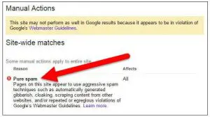 Google Penalty recovery service spam example