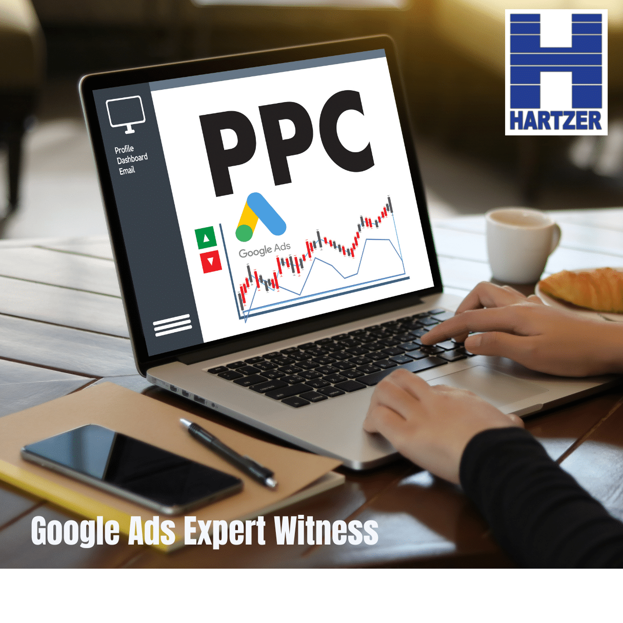 Google Ads Expert Witness
