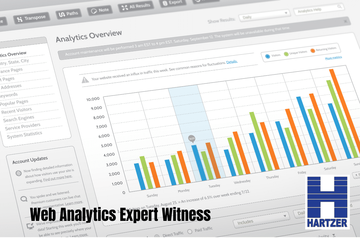 Web Analytics Expert Witness