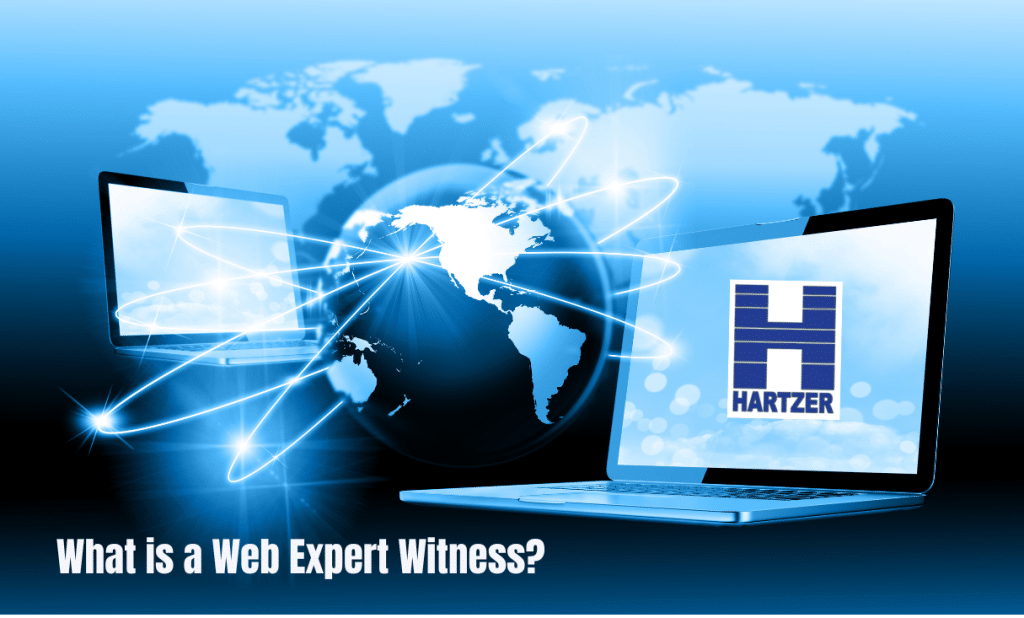 what is a web expert witness?