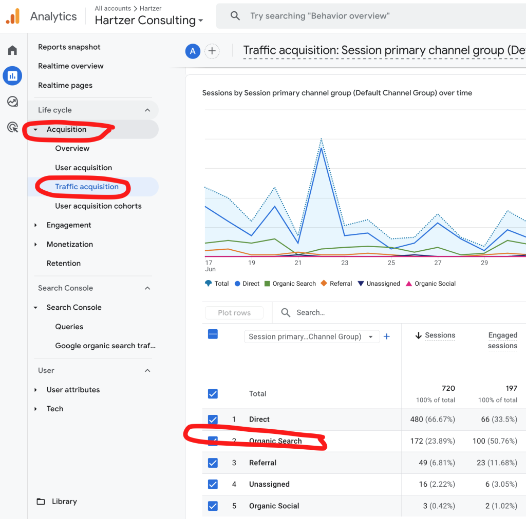 organic search overview, analytics